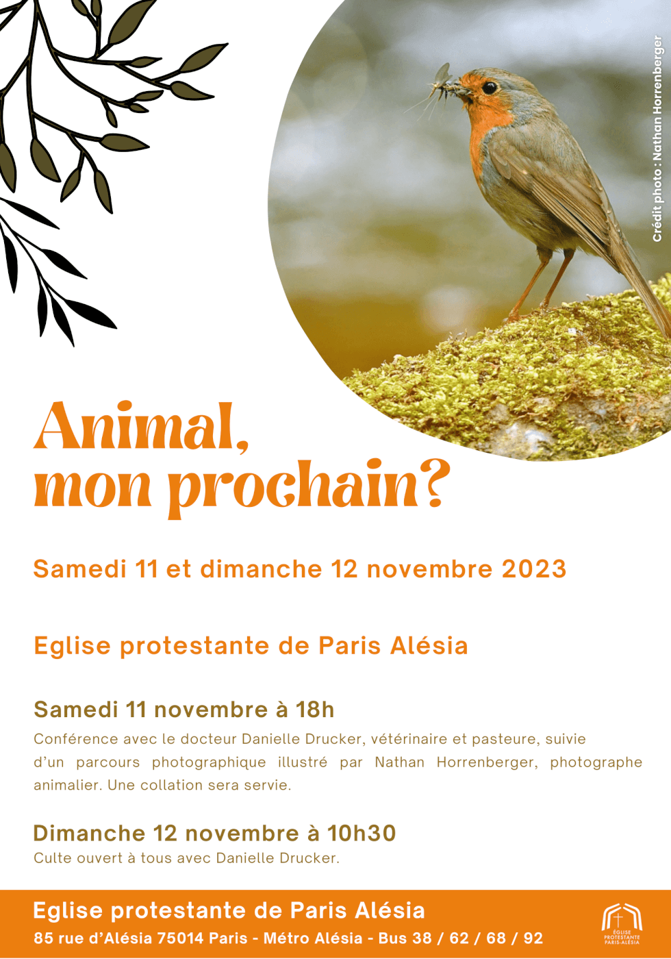 Animal, mon prochain ?